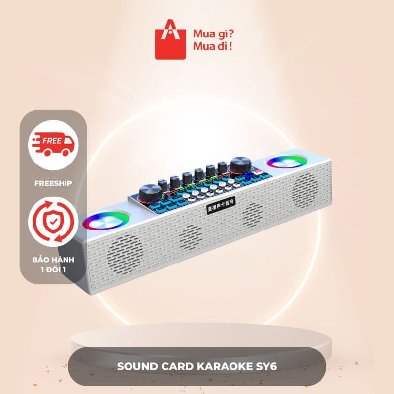 Sound card karaoke SY6