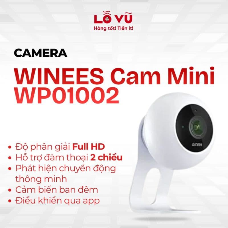 Camera WINEES Cam Mini WP01002