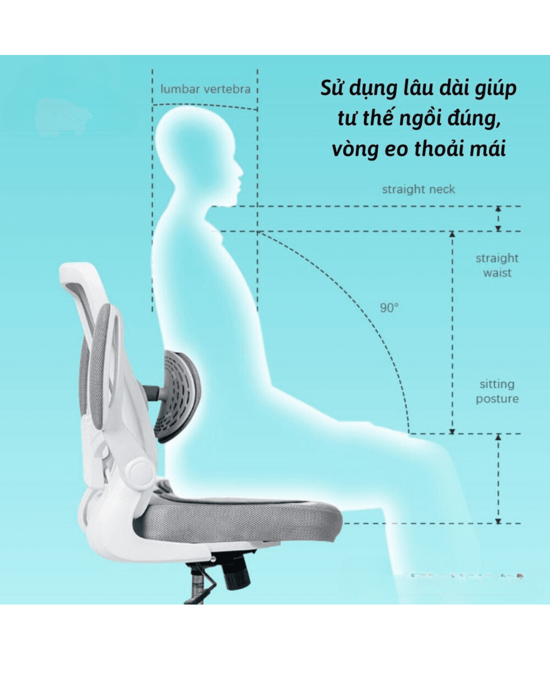 Ghế đệm lưng công thái học JUYA