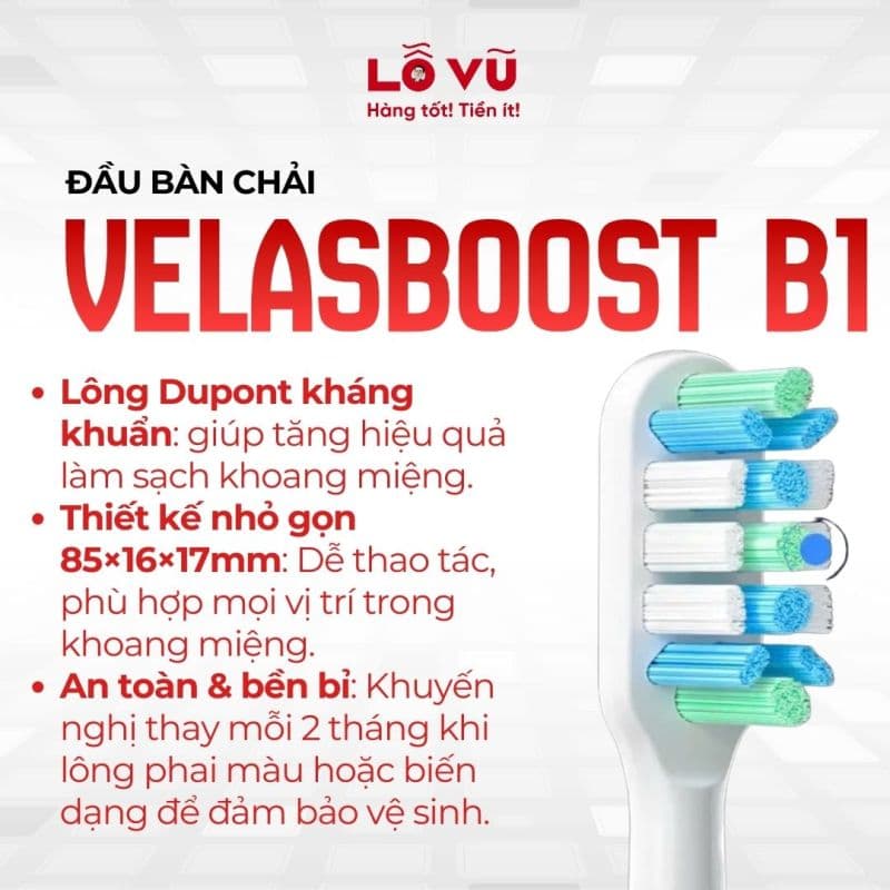 Đầu bàn chải velasboost B1