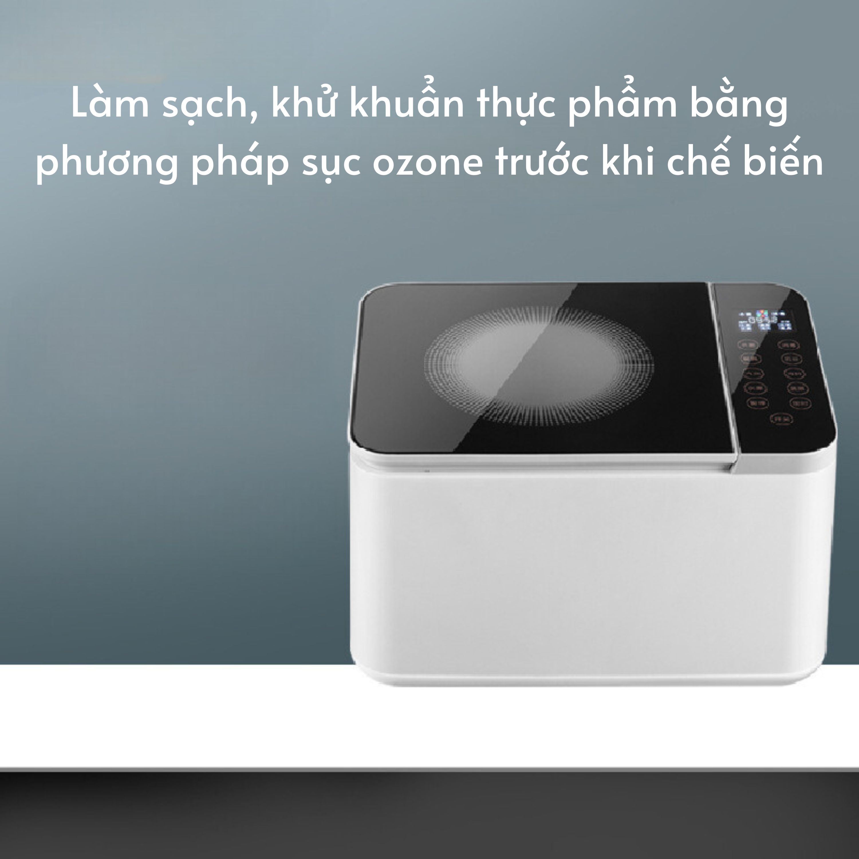 Máy khử trùng thực phẩm KOISER